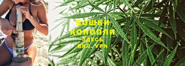 гашиш Белокуриха