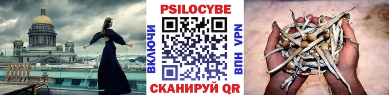 Купить  Гусь-Хрустальный  Псилоцибиновые грибы мухоморы 